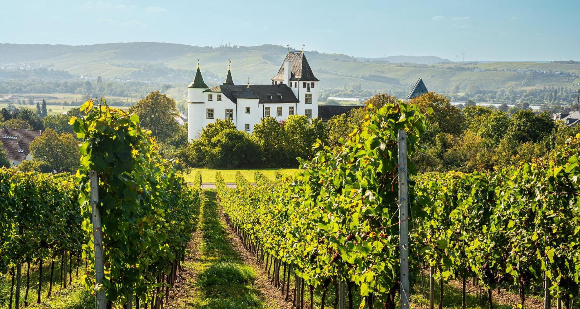 Victor'S Residenz-Hotel Schloss Berg 네니히 외부 사진 Schloss Vollrads